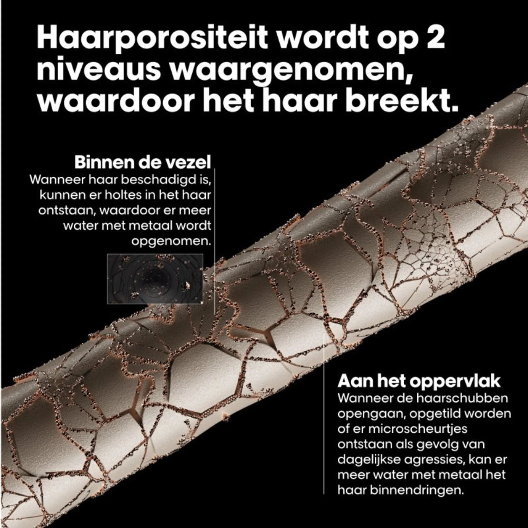 E4269700-1.jpeg