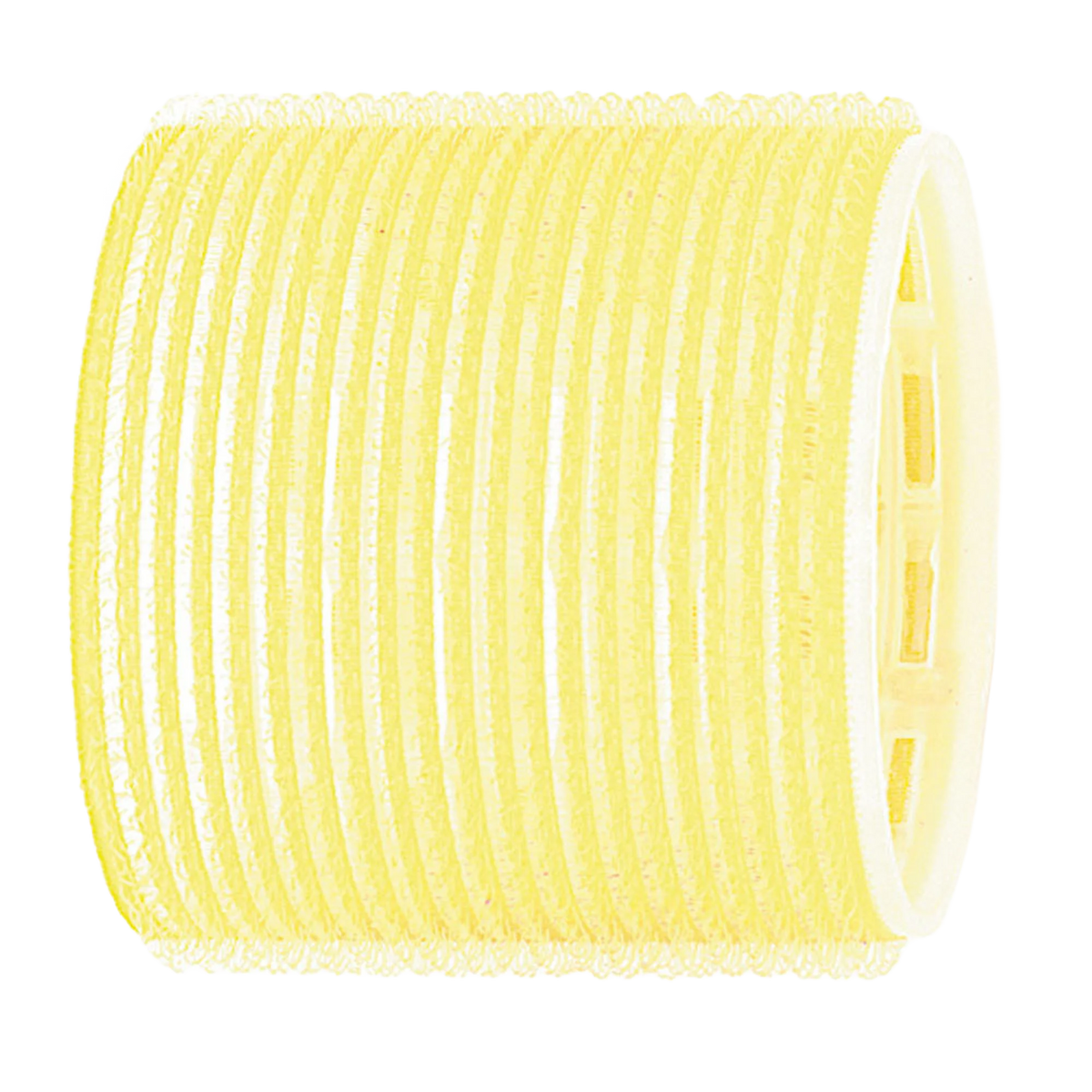 P000482.png