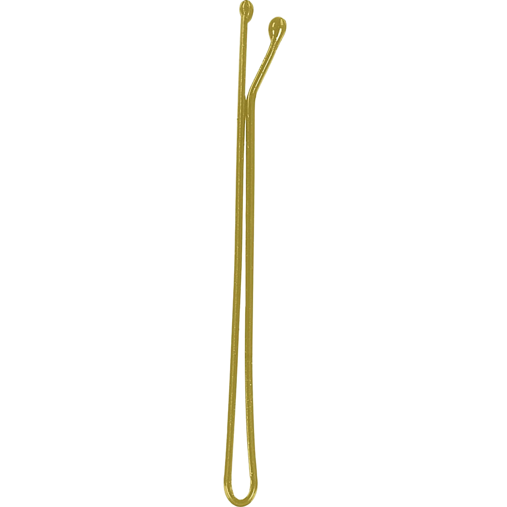 P004145.png