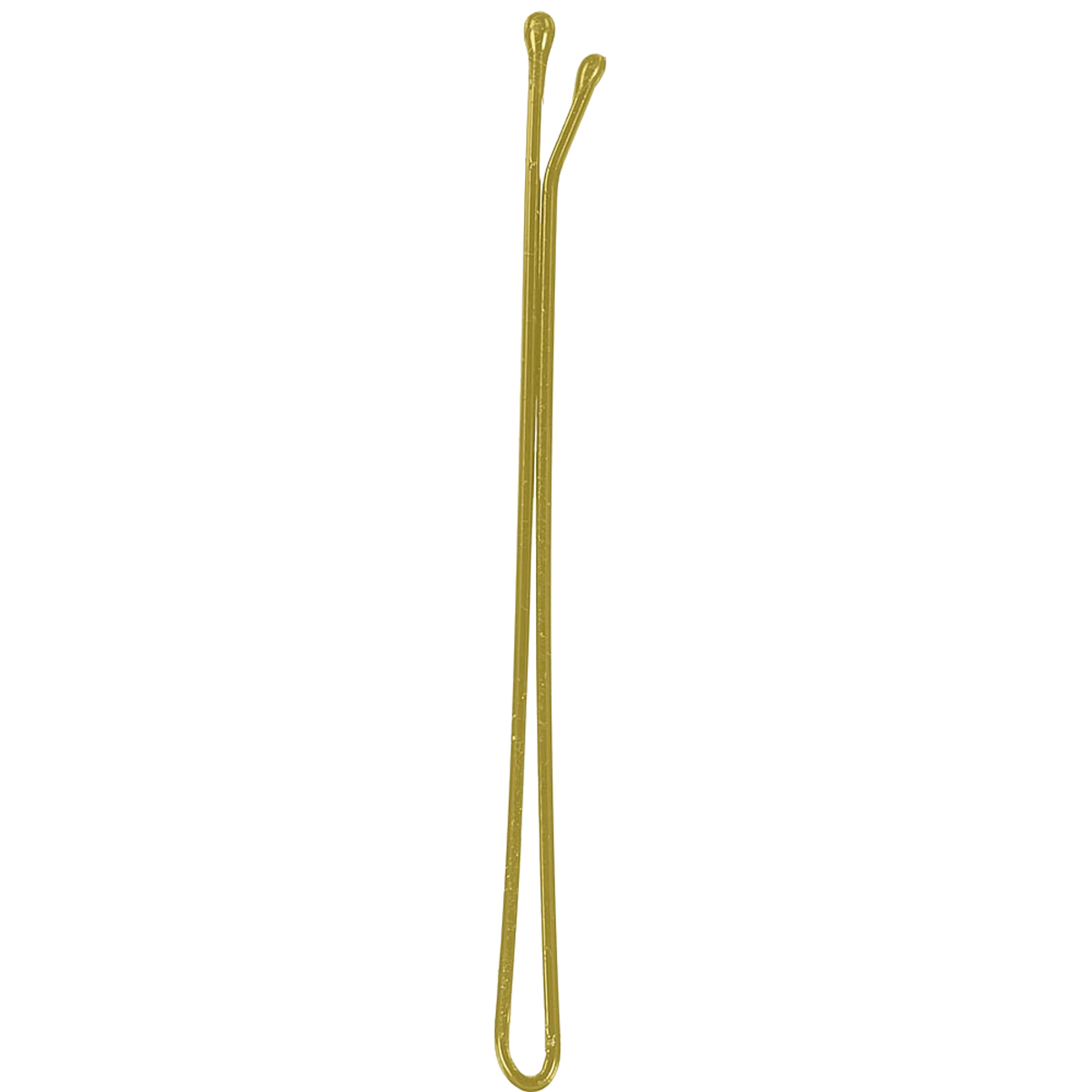 P004151.png