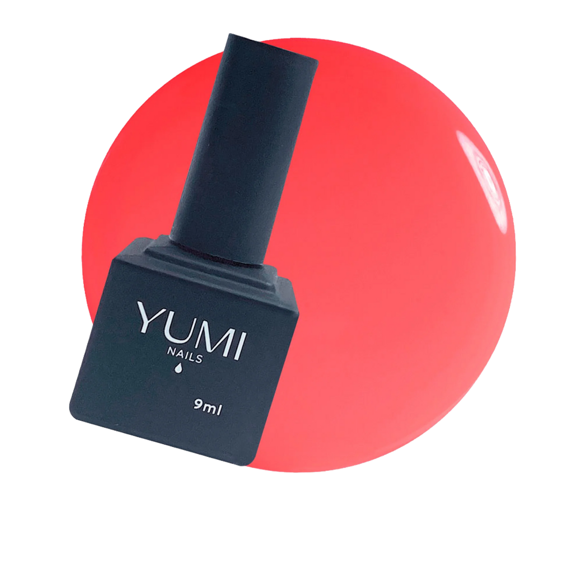 YN880001.png