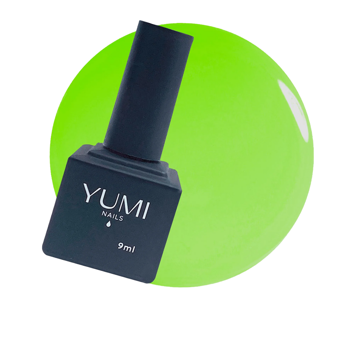 YN895901.png
