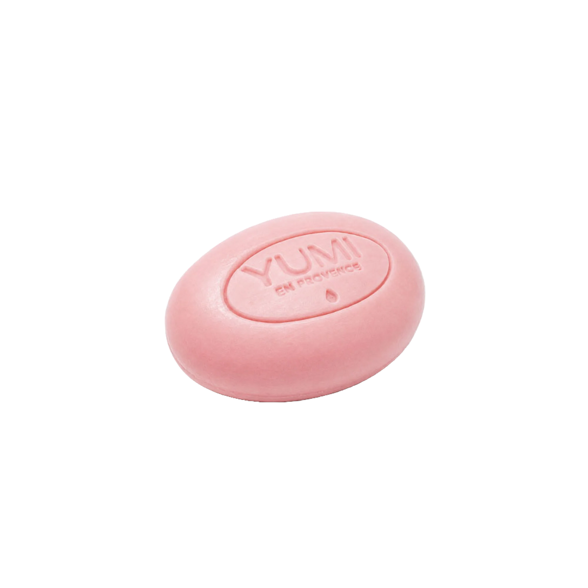 YP021100.png