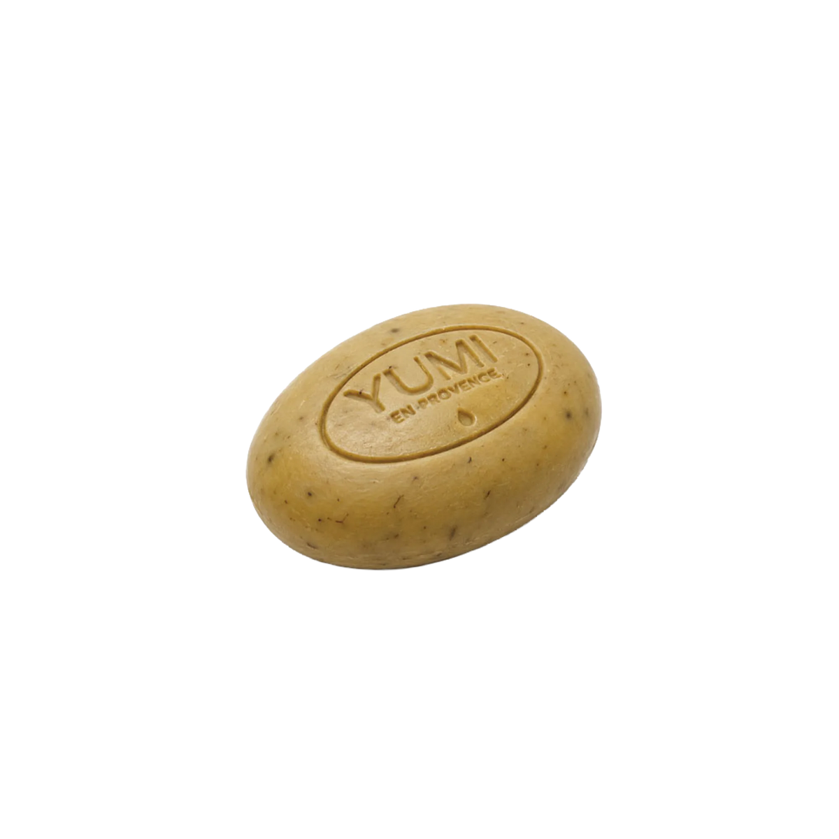 YP023100.png