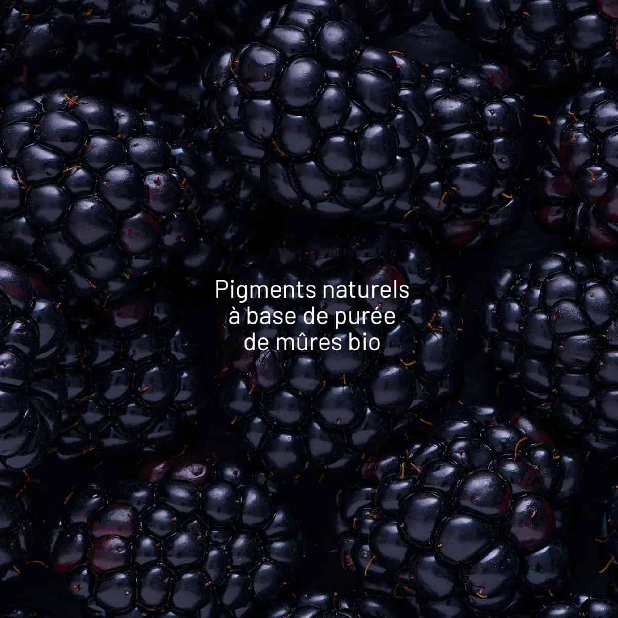03RE-01-15896-2.jpeg