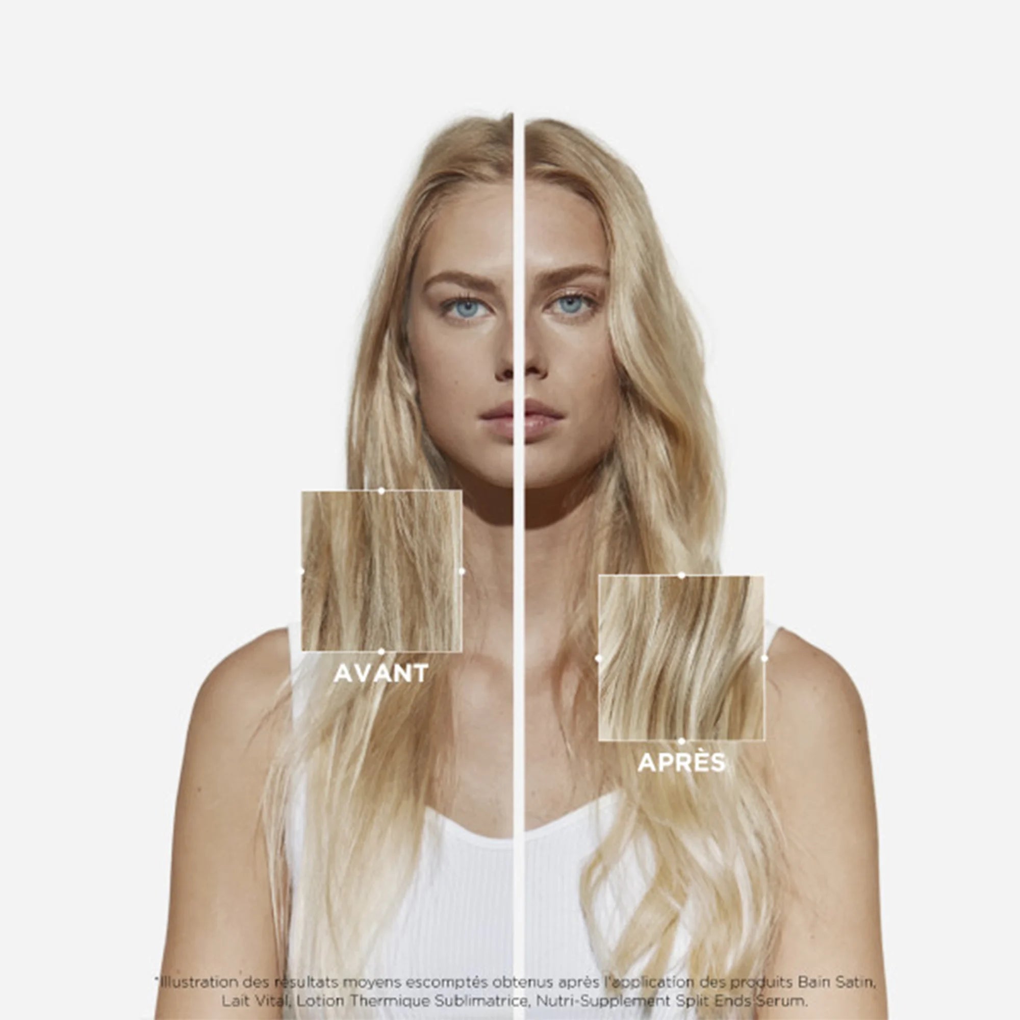 E4040600-1.png