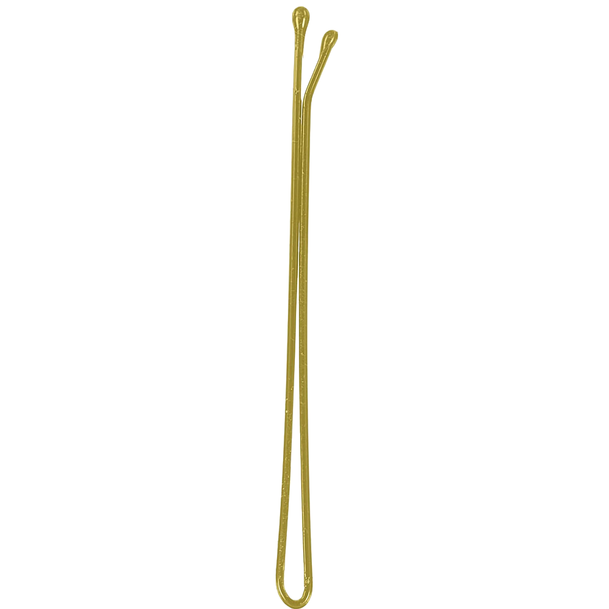P004153.png
