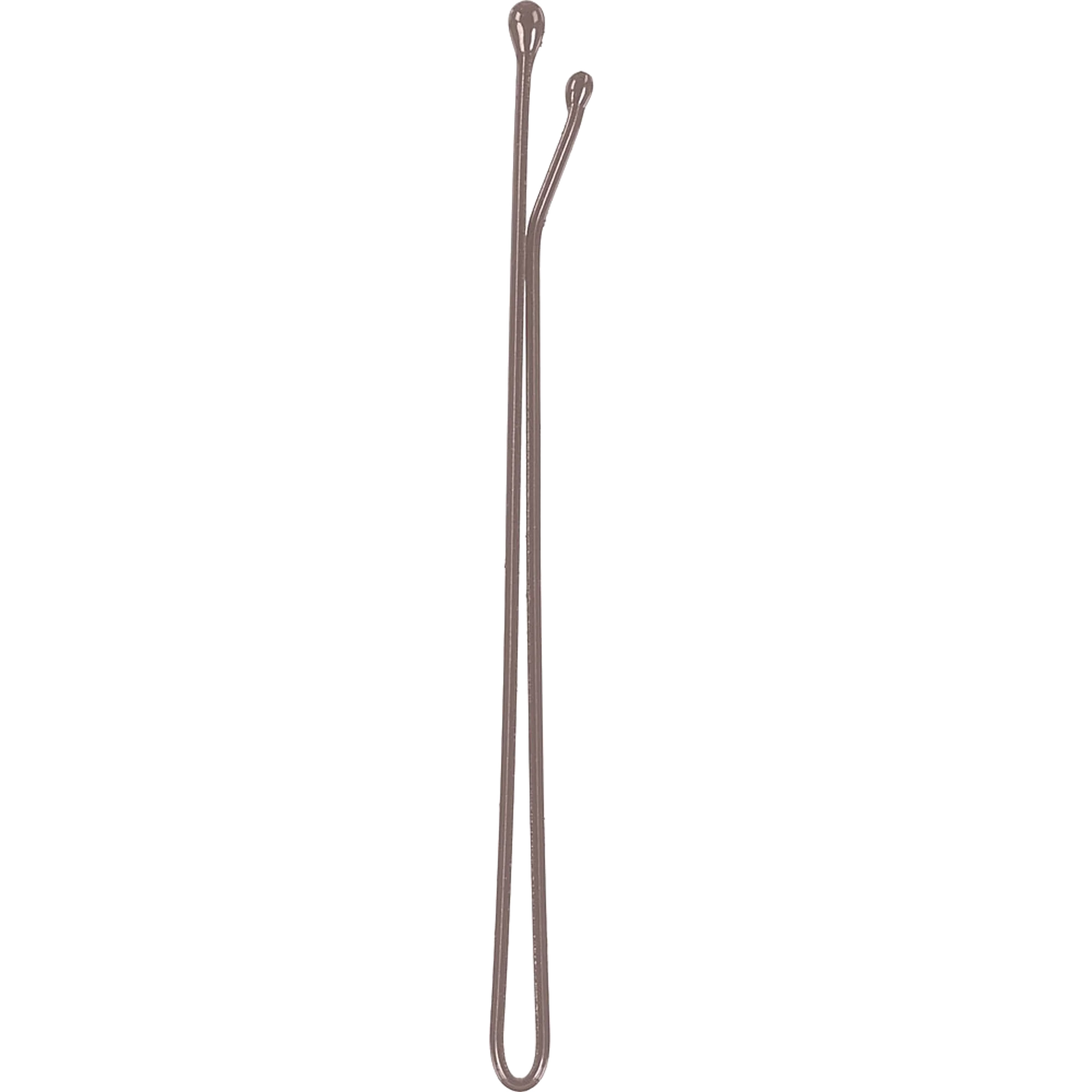 P004231.png