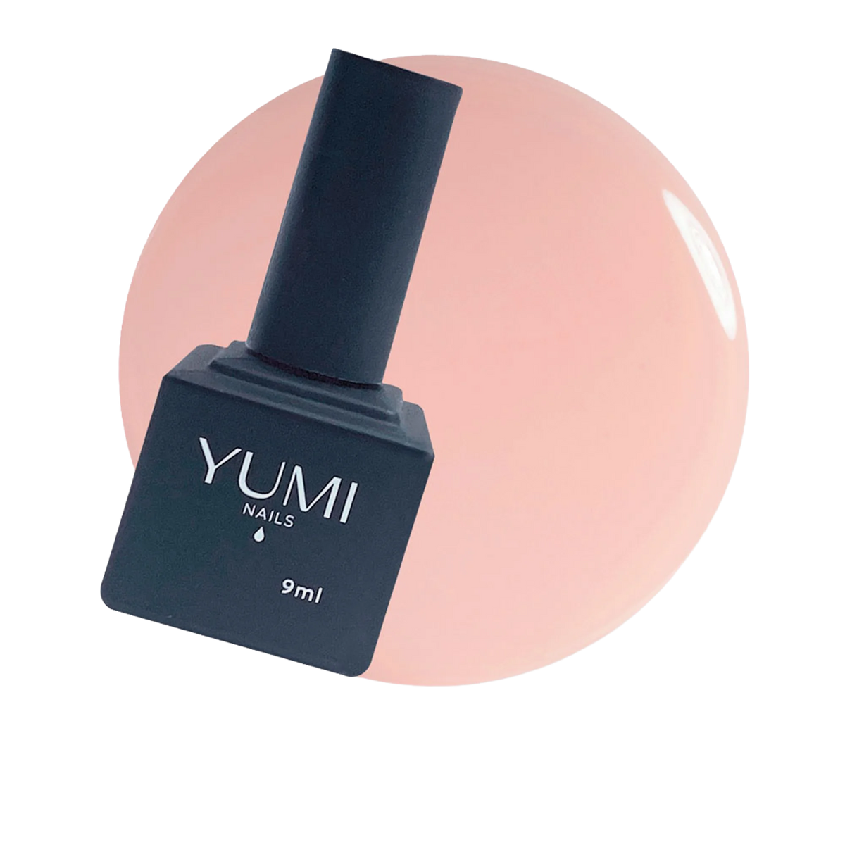 YN825001.png