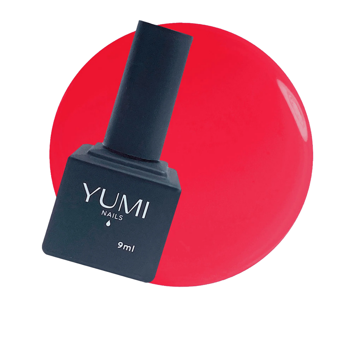 YN850101.png