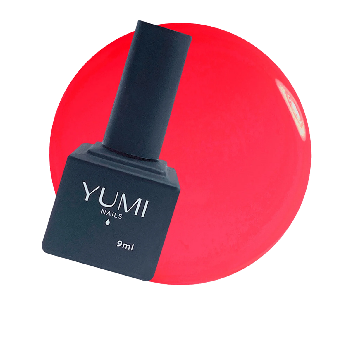 YN893501.png