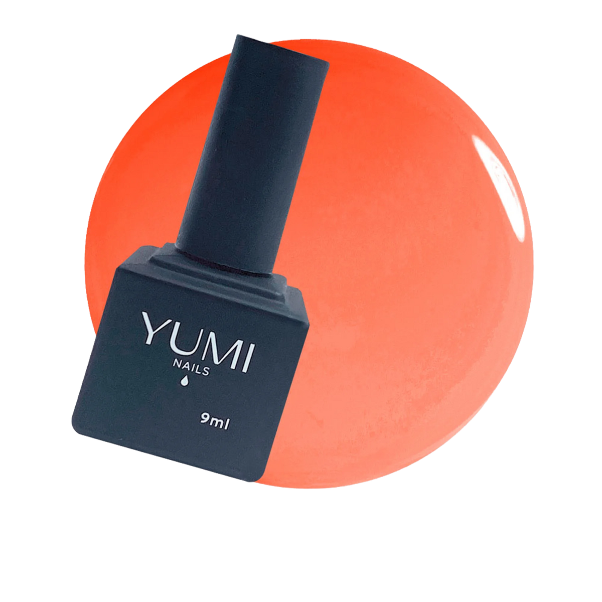 YN896001.png