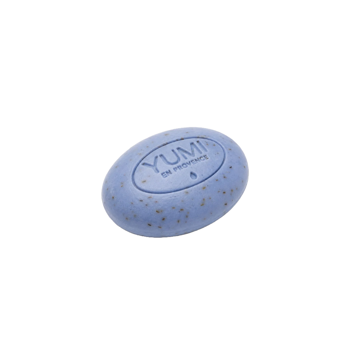 YP022100.png