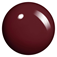 Infinite Shine 2 - RAISIN THE BAR