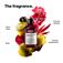 VitSpectrum Shampooing - 300ml