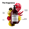 VitSpectrum Conditioner - 750ml
